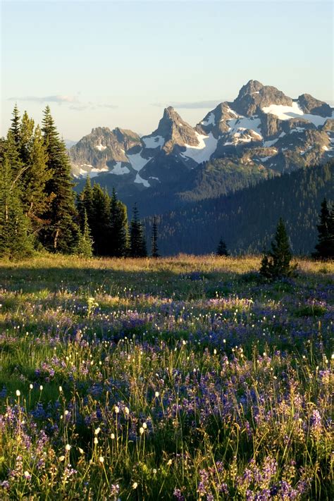 Kettle Moraine State Forest, a Wisconsin forest located near Cedarburg ...