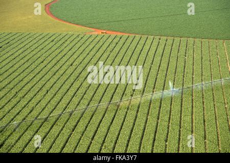 Aerial view of plantation of maize under central pivot irrigation Stock ...