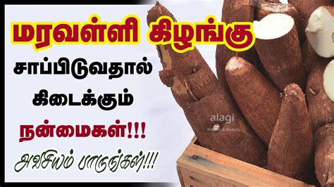 மரவள்ளிக் கிழங்கு மருத்துவ பயன்கள் | Maravalli kilangu Benefits in ...