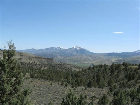 310 acres in Grant County, Oregon