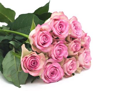 25 Best Mothers Day Flowers Ideas