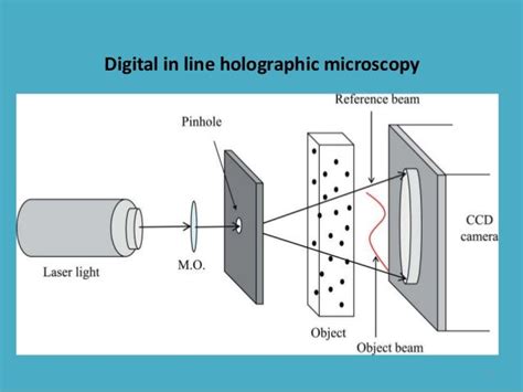 Microparticle characterization using digital holography