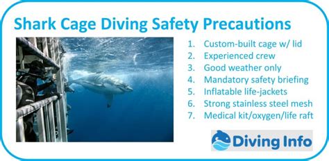 Shark Cage Diving Destin Florida – Diving Info