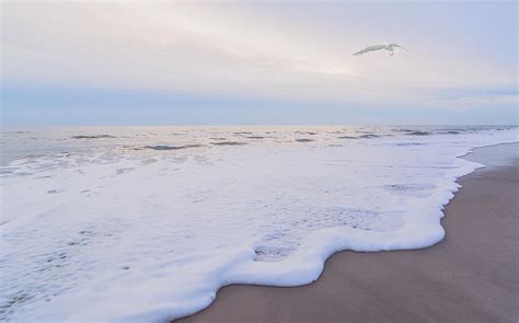 Beach Sunrise - Assateague Island - Seascape Photograph by SharaLee Art - Fine Art America