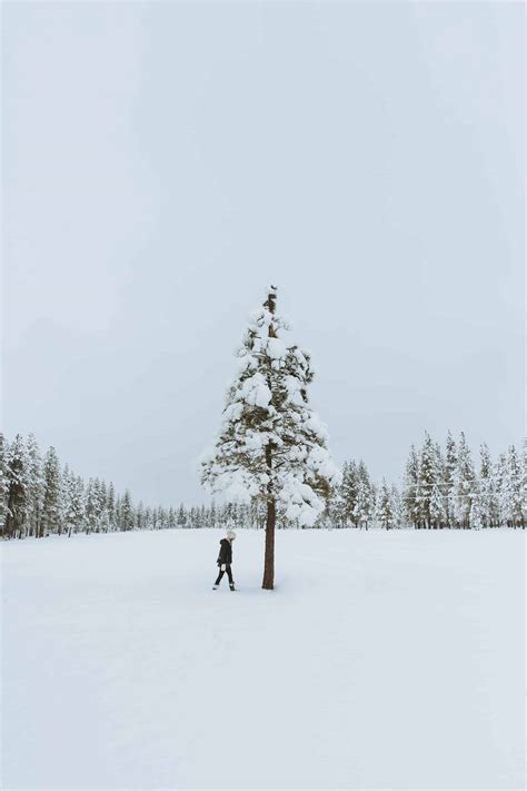 Winter In Idaho: 22 Incredible Bucket List Adventures - The Mandagies