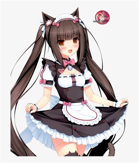 Anime Anime Maid Anime Girl Anime Cat Girl - Chocola Neko Girl - Free Transparent PNG Download ...