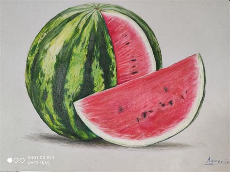 A watermelon drawing! With colored pencils : r/drawing