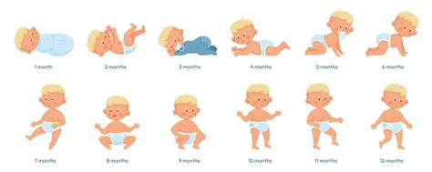 Baby growth stages, development process from newborn to toddler. Baby ...