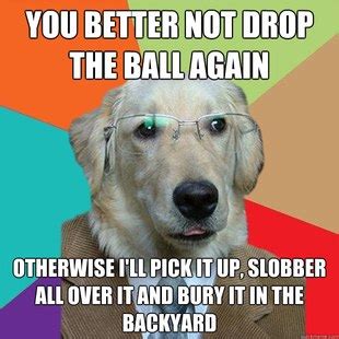 Best of the Business Dog Meme (27 Pics)