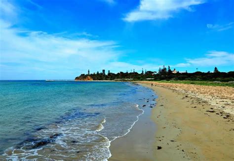 12 Fantastic Things To Do In Queenscliff Victoria