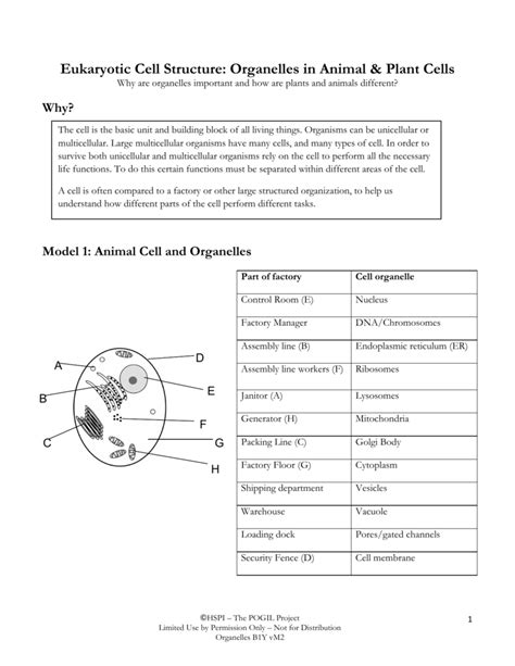 Organelles In Eukaryotic Cells Worksheets