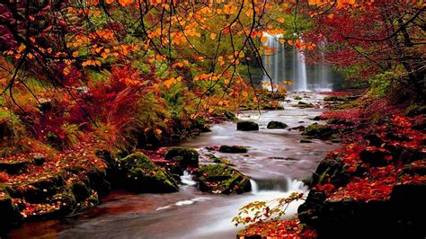 Beautiful Fall Scenery Wallpaper (49+ images)