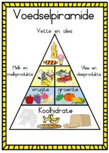 Voedselsoorte + Gesonde bord kos + Voeselpiramide - Juffrou 911