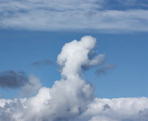 Bizarre shaped clouds | Weird pictures and photo galleries | Daily Star