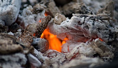 Ten Surprising Uses for Fireplace Ashes - A Sharp Eye