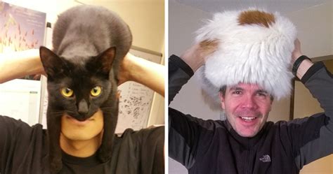 People Wearing Cats As Hats Is The Cutest Trend Right Now | Bored Panda