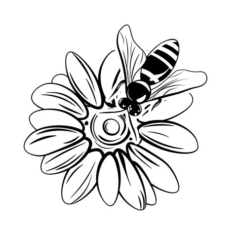 Bee on flower SVG Honey apis Vintage vector illustration | Etsy