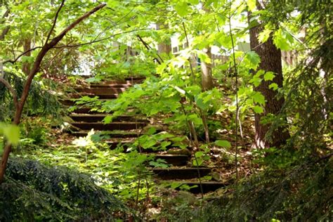 Stairway In Woods Free Stock Photo - Public Domain Pictures