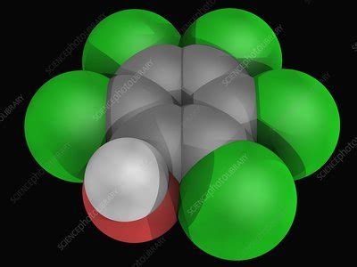 Pentachlorophenol molecule - Stock Image - F004/8658 - Science Photo Library