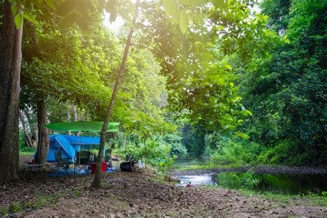 Premium Photo | Camping and tent in nature park