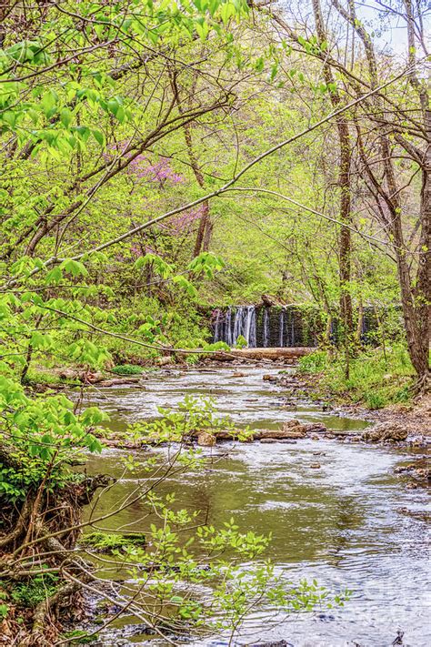 Dripping Springs Branch Waterfall Photograph by Jennifer White - Fine Art America