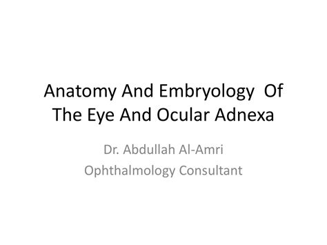 Embryology And Anatomy Of The Eye And Ocular Adnexa