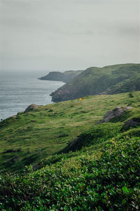 Cape Spear Trail, Newfoundland - The Driftwoods Family