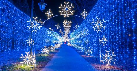 Winterfest Wonders of Light Walking Trail of Christmas Lights - Explore Tennessee | Tours ...