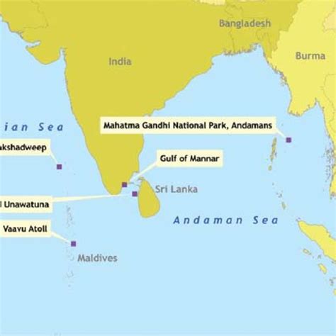 Map of coral reef status in Indonesia | Download Scientific Diagram