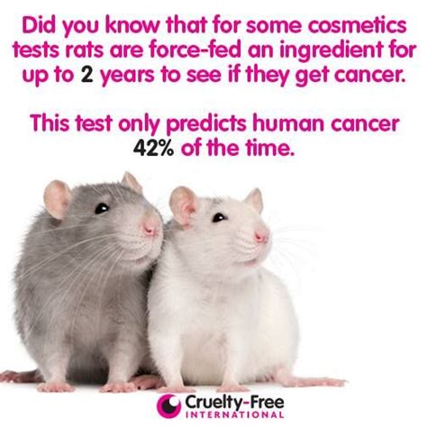 12 best images about Animal Testing Facts on Pinterest | Coin toss, Illustrators and ...