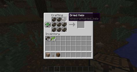 How do you make dried kelp in Minecraft? - Rankiing Wiki : Facts, Films ...