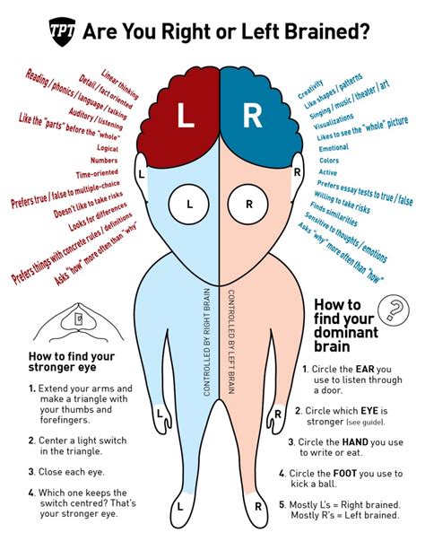 Balancing The Brain Hemispheres - Earther Academy