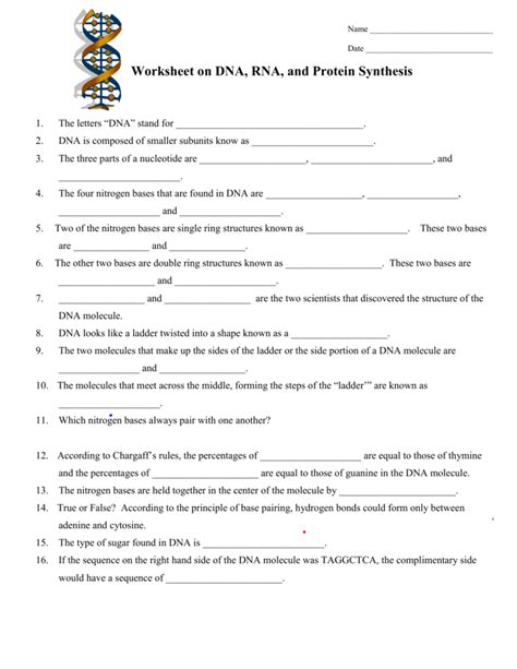 Worksheet on DNA and RNA