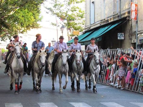 Camargue horses come to town | Camargue horse, Horse world, Horses