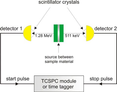 Positron Annihilation Lifetime Spectroscopy (PALS) | PicoQuant