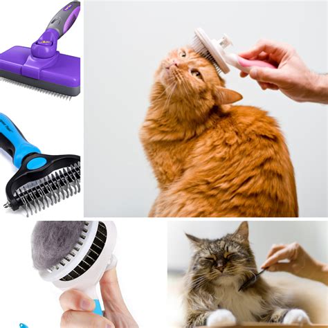 The Best Cat Brush for Shedding | Amazon