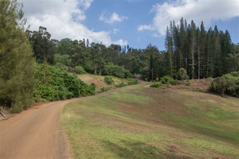 Hiking on Lanai Hawaii