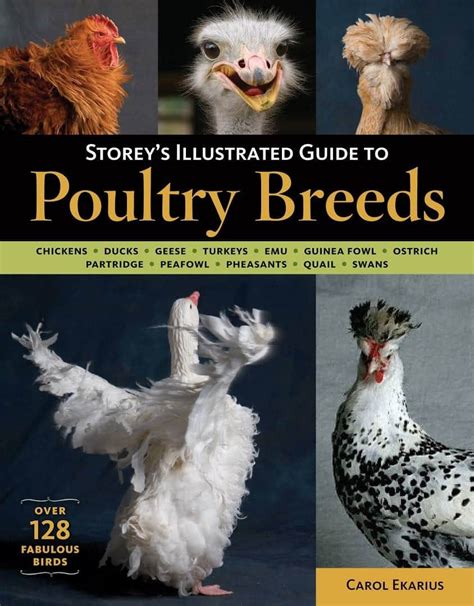 Storey's Illustrated Guide to Poultry Breeds Complete PDF