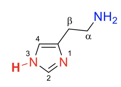 medchem H2 receptor antagonists, protom pumps (1/3) Flashcards | Quizlet