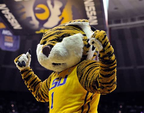 NCAA Mascot Bracket: Picking the 2019 basketball champion | The State