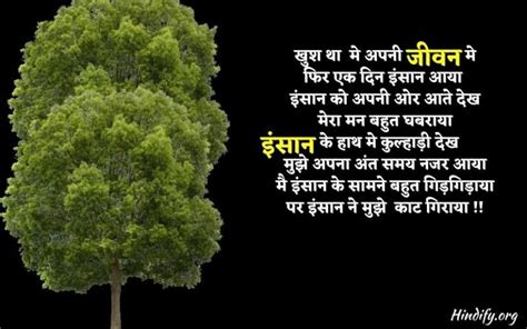 Poem on Tree in Hindi | पेड़ बचाओ पर कविता (2022)