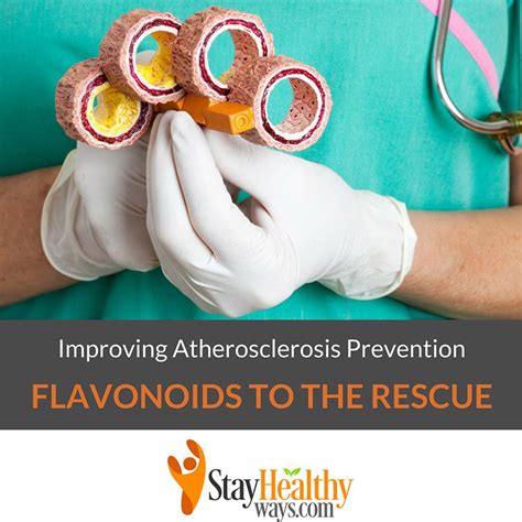 Improving Atherosclerosis Prevention: Flavonoids to the Rescue