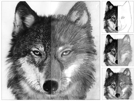 Finish the Wolf Face | Art Projects for Kids