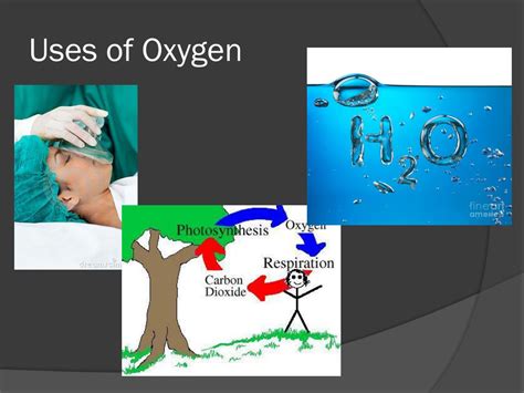 PPT - Oxygen presentation PowerPoint Presentation, free download - ID:2868692