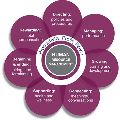 HR: Human Resources – Diane Wooden Human Resource Management