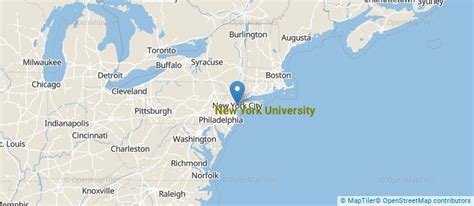 New York University Overview