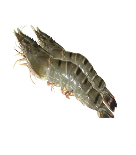 Fresh Chingri Fish (চিংড়ি মাছ) 1kg | prawn fish price in Bangladesh