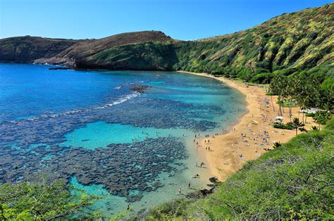 Elevated View of Hanauma Bay on O’ahu in Hawaii - Encircle Photos