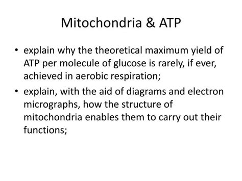 PPT - Mitochondria & ATP PowerPoint Presentation, free download - ID:5231348