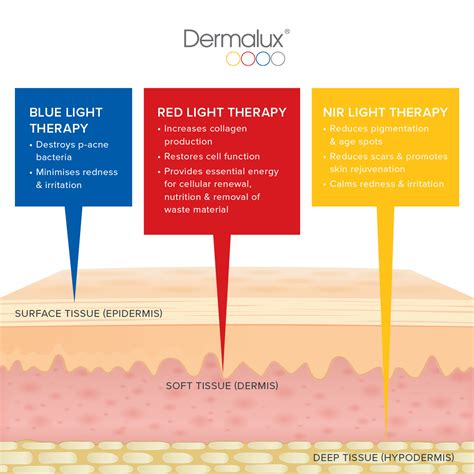 Dermalux® In-Salon LED Light Therapy – The Beautician